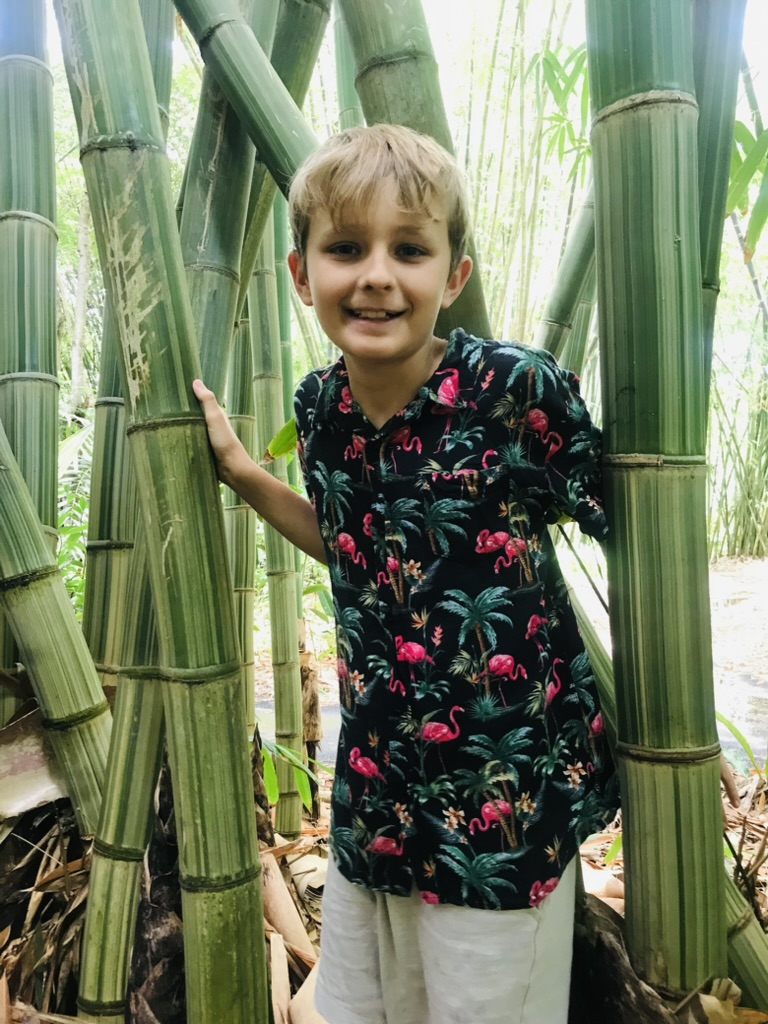 son-inspiration-C4rqmXaY